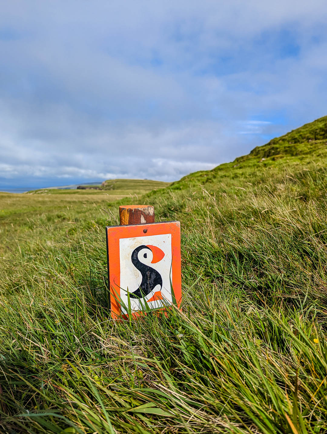 A signpost on the puffin trail