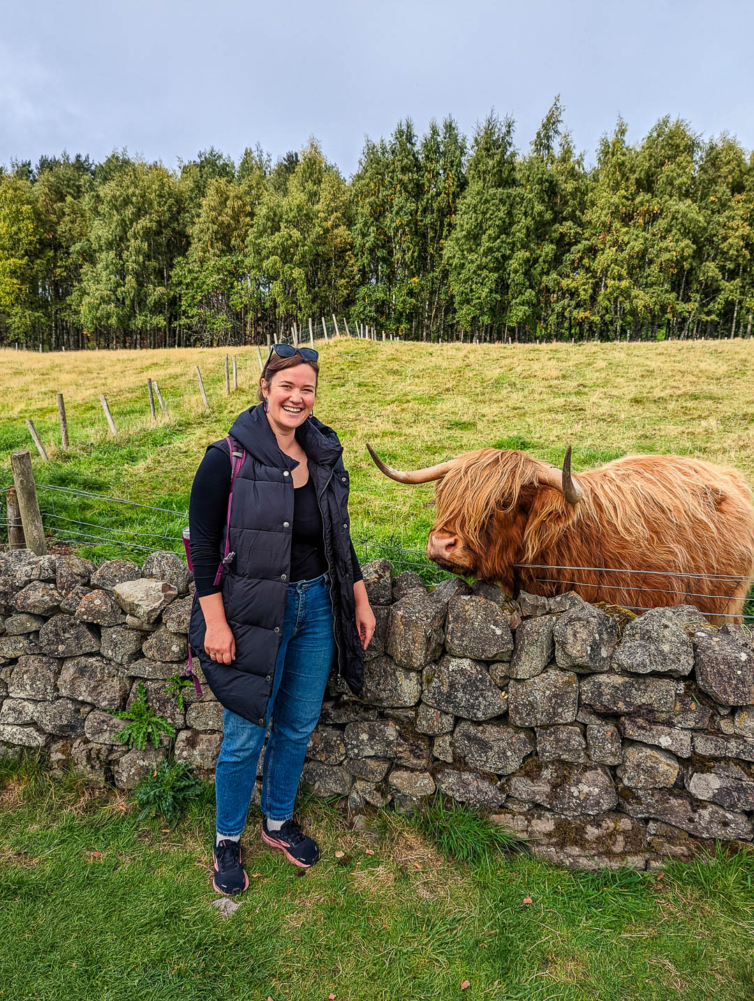 Kathi and a Highland cow at the Highland Folk Museum