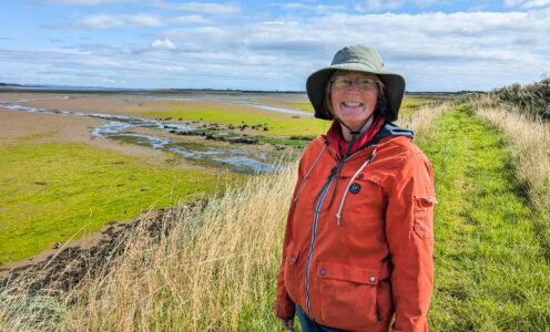 ‘Salt of the Earth’ – The Salt Marsh in the Eden Estuary