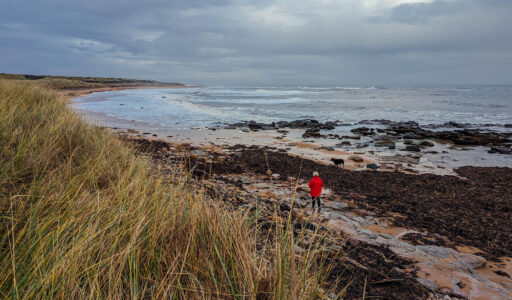 A woman walking her dog at Kingsbarns Beach