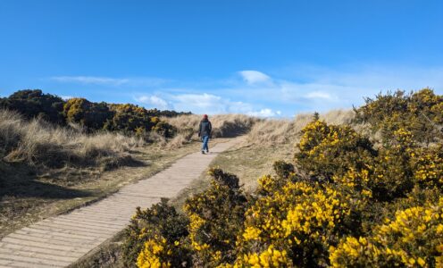 Season 6: Slow Travel