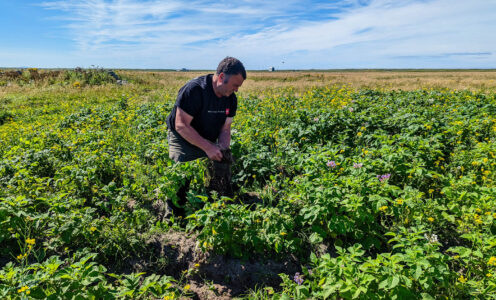 ‘Good for Crofting’ – Traditional Crofting in South Uist
