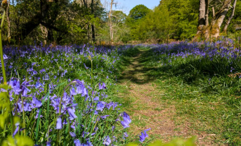 ‘Frozen in Time’ – Galloway & Southern Ayrshire Biosphere