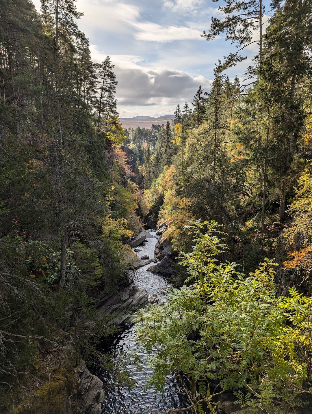 'There’s nothing quite like it' - Perthshire in Autumn - Wild for ...